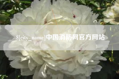 广水中国消防网官方网站