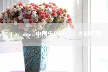 广水中国失信执行人查询官网