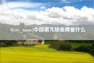 广水中国第九块金牌是什么