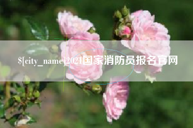 广水2021国家消防员报名官网
