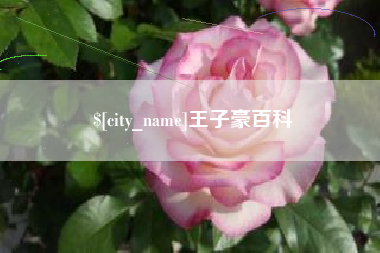 广水王子豪百科