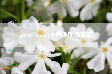 广水中国地图像素版