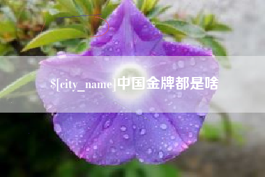 广水中国金牌都是啥