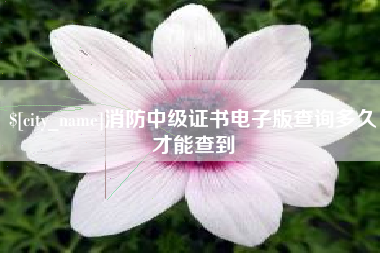 广水消防中级证书电子版查询多久才能查到