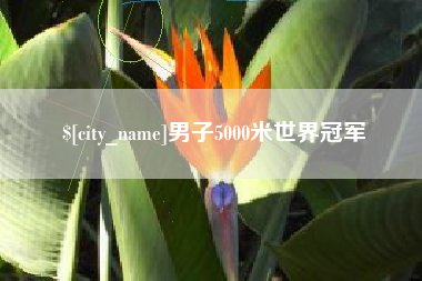 广水男子5000米世界冠军