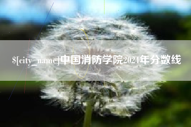 广水中国消防学院2024年分数线