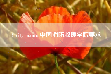 广水中国消防救援学院要求