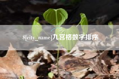 广水九宫格数字排序