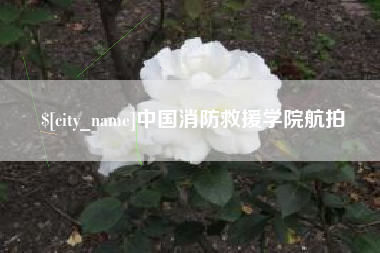 广水中国消防救援学院航拍