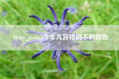广水今年九宫格的不利颜色