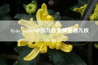 广水中国九枚金牌是哪九枚