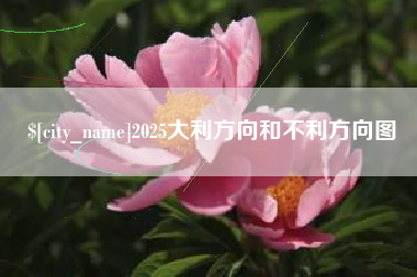 广水2025大利方向和不利方向图
