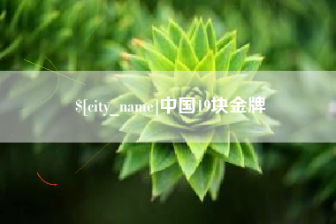 广水中国19块金牌