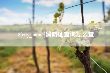 广水消防证查询怎么查