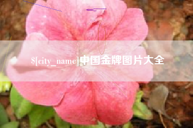 广水中国金牌图片大全
