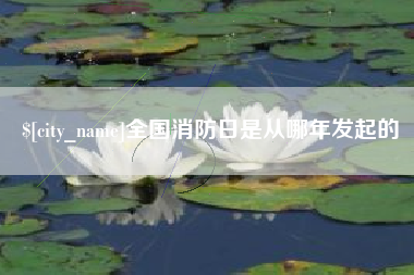 广水全国消防日是从哪年发起的