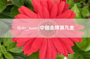 广水中国金牌第九金