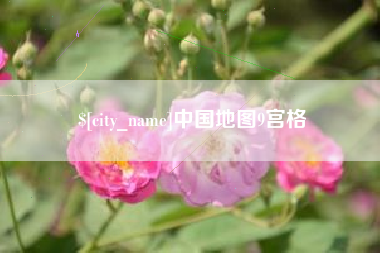 广水中国地图9宫格