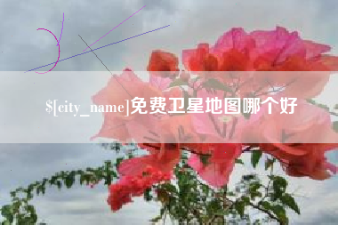 广水免费卫星地图哪个好