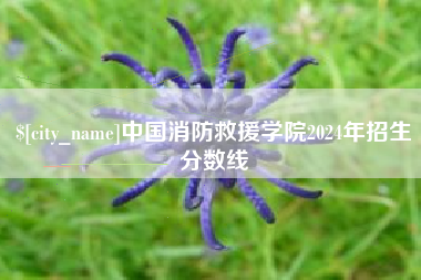 广水中国消防救援学院2024年招生分数线
