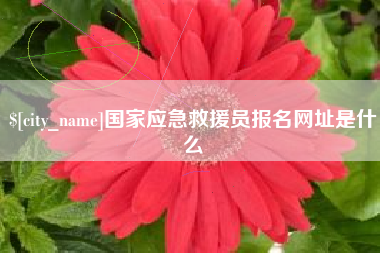 广水国家应急救援员报名网址是什么