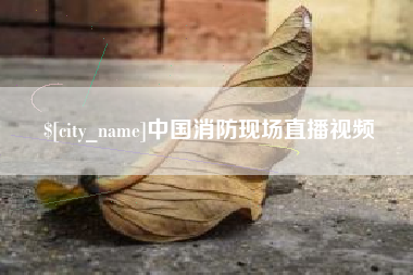 广水中国消防现场直播视频
