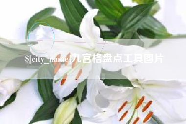 广水九宫格盘点工具图片