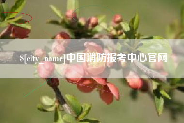 广水中国消防报考中心官网