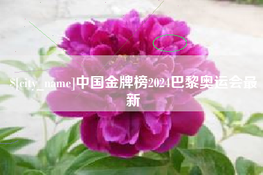 广水中国金牌榜2024巴黎奥运会最新
