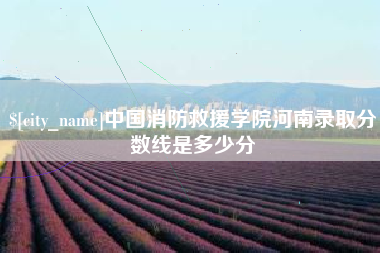 广水中国消防救援学院河南录取分数线是多少分