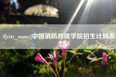广水中国消防救援学院招生计划表