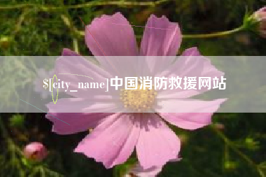广水中国消防救援网站