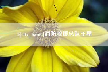 广水消防救援总队王星