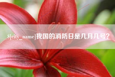 广水我国的消防日是几月几号？