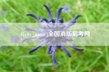广水全国消防招考网