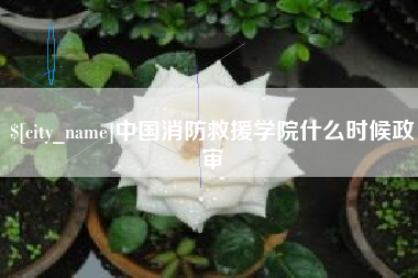 广水中国消防救援学院什么时候政审