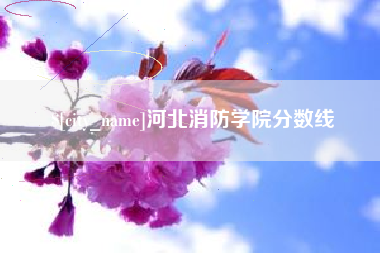 广水河北消防学院分数线