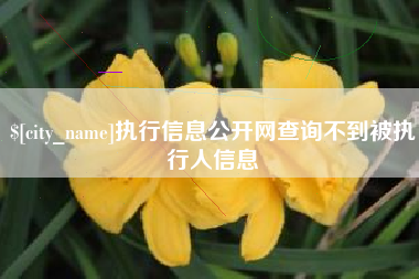 广水执行信息公开网查询不到被执行人信息