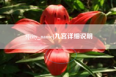 广水九宫详细说明