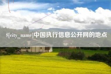 广水中国执行信息公开网的地点