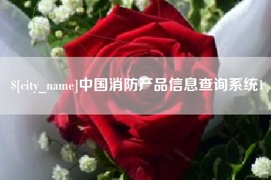 广水中国消防产品信息查询系统1