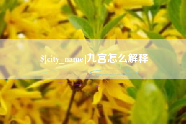 广水九宫怎么解释