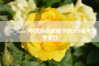 广水中国消防救援学院2020高考报考条件