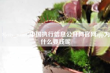广水中国执行信息公开网官网app为什么要钱呢
