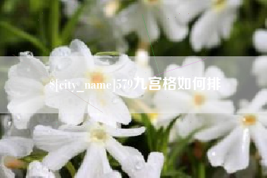 广水579九宫格如何排