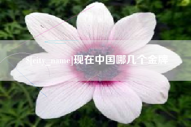 广水现在中国哪几个金牌