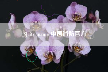 广水中国消防官方