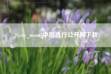 广水中国执行公开网下载