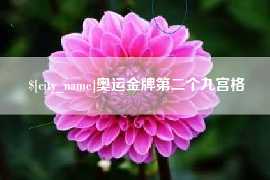 广水奥运金牌第二个九宫格