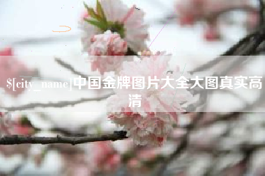 广水中国金牌图片大全大图真实高清